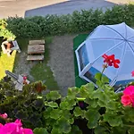 360 Viewpoint Alpine 