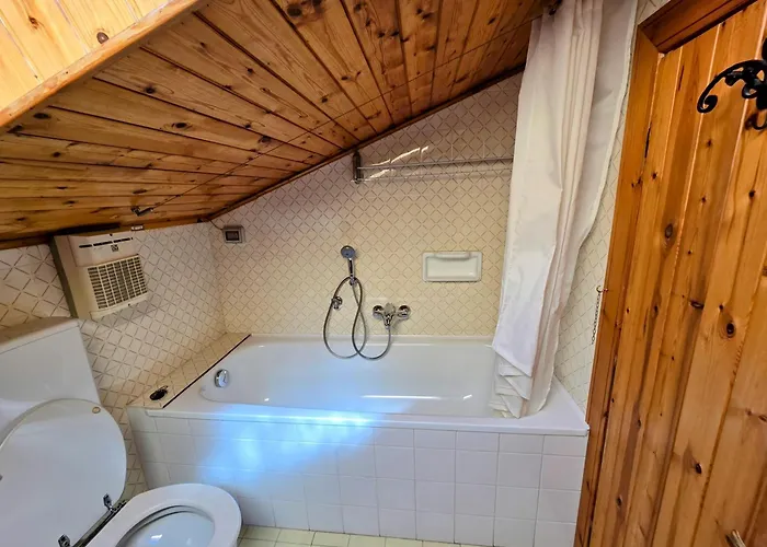 360 Viewpoint Alpine 